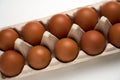 Ten brown eggs in carton on white with clipping path Royalty Free Stock Photo
