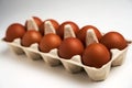 Ten brown eggs in carton on white with clipping path Royalty Free Stock Photo