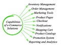 Capabilities of e-Commerce Solutions