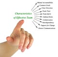 Characteristics of Effective Team Royalty Free Stock Photo