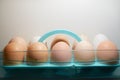 Ten chicken eggs on a blue stand close-up on white background Royalty Free Stock Photo