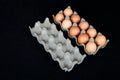 Ten chicken eggs in a carton box and an empty carton box isolated on black mat background Royalty Free Stock Photo