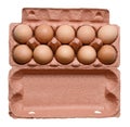 Ten chicken eggs in a carton. White isolated background. Close-up. Royalty Free Stock Photo