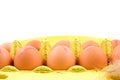 Ten chicken eggs in yellow box Royalty Free Stock Photo