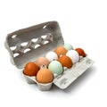 Ten colorful chicken eggs in carton box Royalty Free Stock Photo