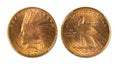 Ten Dollar Gold Indian Head Coin.