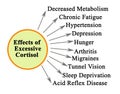 Effects of Excessive Cortisol