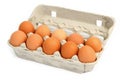 Ten eggs in a box Royalty Free Stock Photo