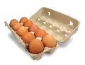 Ten eggs box up Royalty Free Stock Photo