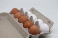 Ten eggs in a carton. A dozen raw white and brown eggs.