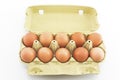 Ten eggs in the carton isolated on white Royalty Free Stock Photo