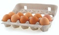 Ten eggs in the cassette Royalty Free Stock Photo