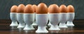 Ten Eggs in Egg Cups on a Table Panorama