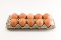 Ten Eggs in egg tray Royalty Free Stock Photo