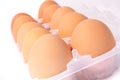 Ten eggs in plastic box Royalty Free Stock Photo