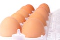 Ten eggs in plastic box Royalty Free Stock Photo