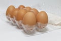 Ten Eggs in a Plastic Egg Box Royalty Free Stock Photo