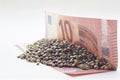 Ten euro banknote with a hemp seeds