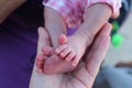 Ten fingers,small feet of the newborn in the palm of your hand,legs of newborn baby in hands, Royalty Free Stock Photo