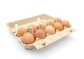 Ten fresh brown eggs packed in a pack or cardboard box. isolated on a white background. Royalty Free Stock Photo