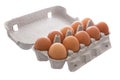 Ten fresh eggs in carton box . Royalty Free Stock Photo