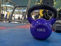 Ten kilogram heavy ball weight dumbbell for increasing strength and doing the bodybuilding in a modern and well equipped gym for Royalty Free Stock Photo