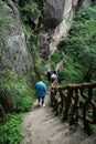 A line of tourists walking on a narrow plank road.