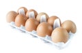 Studio shot a plastic tray with ten pastured raised chicken eggs isolate on white Royalty Free Stock Photo