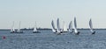 Ten 2 person sailboats during a winter regatta Royalty Free Stock Photo