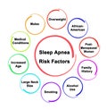 Risk Factors for Sleep Apnea