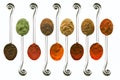 Ten spices Royalty Free Stock Photo