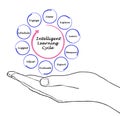 Stages of Intelligent Learning Cycle Royalty Free Stock Photo