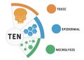 TEN - Toxic Epidermal Necrolysis. acronym, medical concept background.