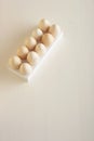 Ten turkey eggs with white plastic box. Royalty Free Stock Photo