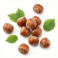 ten whole hazelnuts in shell interspersed with three small green hazelnut leaves Royalty Free Stock Photo