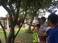 Tena, Ecuador - 29-9-2019: People feeding a wild capuchin monkey