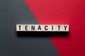 Tenacity word concept on cubes Royalty Free Stock Photo