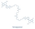 Tenapanor drug molecule. Skeletal formula.