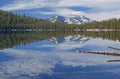 Tenaya Lake Reflections Royalty Free Stock Photo