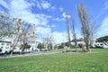 Severe Weather Damaged downed Trees Washington Square San Francisco 2 Royalty Free Stock Photo