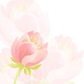 Tender background with pink beautiful flowers. EPS 10
