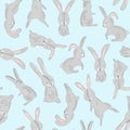 Tender blue baby pattern with cute gray rabbits