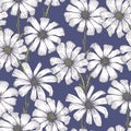 Tender blue pattern with white chamomile flowers