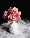 Tender bouquet of pink flowers in white vase on black background. Interior floral decor. Winter concept, snowy background. Valent