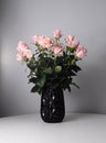 Tender bouquet of pink roses in black vase. Interior floral decor. Fresh flowers on grey background.