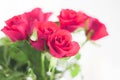 Tender bouquet of pink roses, floral gift and beautiful flowers Royalty Free Stock Photo