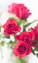 Tender bouquet of pink roses, floral gift and beautiful flowers Royalty Free Stock Photo