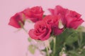 Tender bouquet of pink roses, floral gift and beautiful flowers Royalty Free Stock Photo