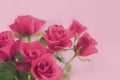 Tender bouquet of pink roses, floral gift and beautiful flowers Royalty Free Stock Photo