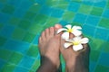 Female legs and white flowers in the pool. Water romantic background with legs Royalty Free Stock Photo